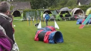 Melina und Faye Agility Hockenheim 16.05.2016