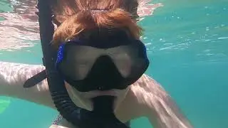 Море. Голодный кот.
