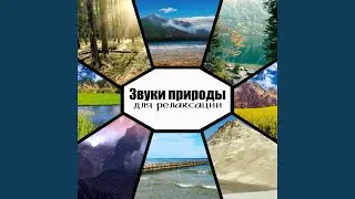 Успокаивали звуки воды