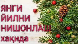 Yangi yilni nishiollasa bo'ladimi? / Янги йилни нишолласа бўладими? |