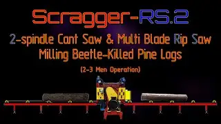 Milling Beetle Killed Pine on Scragger.RS2 sawmill from Woodlandia (2-3 men operation)