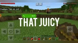 MINECRAFT SCENES