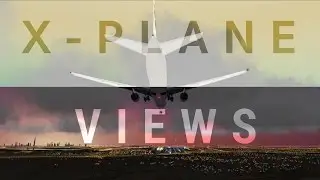 How to use X PLANE-10 views