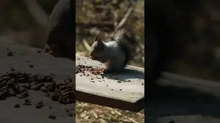 Красноярске столбы ❤️‍🔥