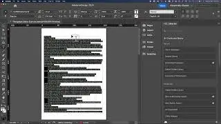 Adobe inDesign Paragraph Styles 2024