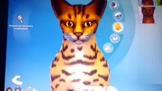 Sims4 кошки и собаки 100животных snezhana kors