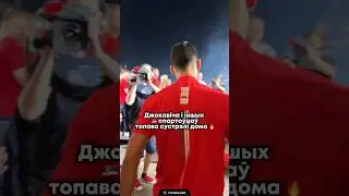 Джоковича и других сербских спортсменов топово встретили дома #джокович #сербия