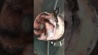 что делает светофоровский антифриз.