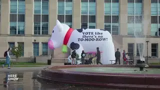 How Wisconsin's youth vote will shape the 2024 election | Here & Now