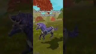 #wildcraft #жиза