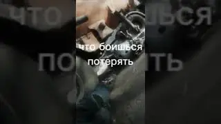 15 июня 2023 г.
