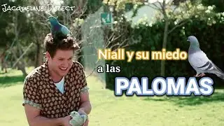 Niall horan y su temor hacia las palomas |Carpool Karaoke [Subtitulado] Parte 1