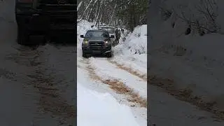 Тундра