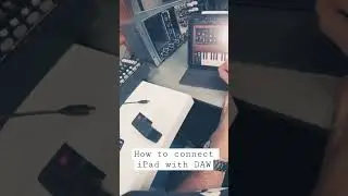 How to connect iPad to your DAW. 
