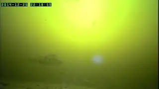 Когда рыба не клюет
