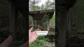 В зоне отчуждения нашел дробилку #денсталк #урал #чзо #припять