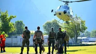 PMG 2024 (Progetto Mutazioni Genetiche) 4K - Falchi della Carnia (Tolmezzo)