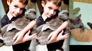 Silky our rescue cat is all trained up!   Full 180°    #asmr #hope #rescuecat