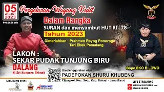 #wayangkulit