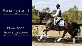 Sambuca II 2018