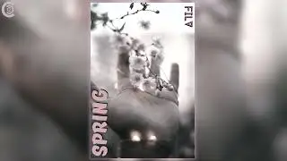 FILV - Spring