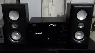 SONY TA AX - 250 Amplifier
- SONY SEQ - 300 Equalizer
- SONY CDP 297 Cd Player
- SONY SS S90 Speaker