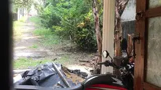 Tiny Humming Bird Tricked By Its Reflection