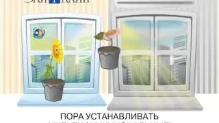 Элитлайн Иркутcк