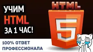 Учим HTML за 1 час! 