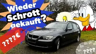 Donk Performance: Schnapper oder Schrott?