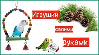 Игрушки ДЛЯ попугая СВОИМИ руками ИЗ шишек!