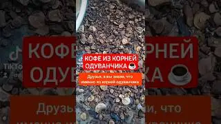 Кофе из корней одуванчика ☕️ #кофеизкорнейодуванчика #кофеизодуванчика #одуванчиккофе #maplebirchnut