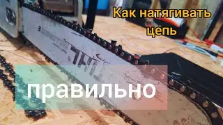 как натянуть цепь на бензопиле|stihl мс180|правильная натяжка цепи☝️
