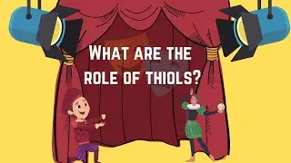 What are the role of thiols?