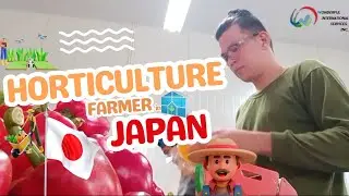 Wonderful Inspiring Story: 01 Horticulture Farmer in Japan