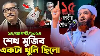 শেখ মুজিবুর রহমান সম্পর্কে আসল তথ্য দিলেন আল্লামা মামুনুল হক । Bangla Waz