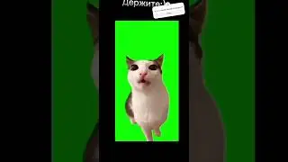 Тутутут лень видео @Woofiz