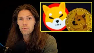 The Dog Coin Incident of 2021