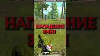 НАПАДЕНИЕ САМОЙ БОЛЬШОЙ ЗМЕИ #shorts