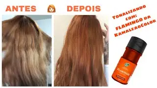 TONALIZAÇÃO COM FLAMINGO DA KAMALEAO COLOR 👩🏻‍🦰 Confiram esse antes e depois! #ruivas #betim