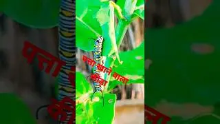 #myfirstvlog