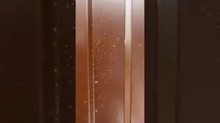 Летний душ усиленный Статус