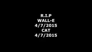 Keep Clam & Cuz The DEATH OF WALL-E