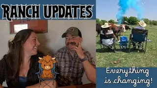 Ranch Updates: Pregnancy Results!