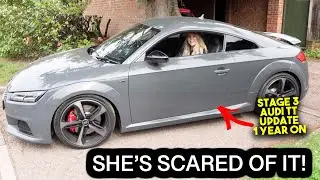 HOW IS MY 450BHP STAGE 3 AUDI TT BUILD GOING AFTER ONE YEAR?
