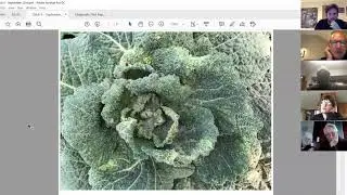 Growing in Polytunnels Q&A 9 - September 22nd