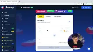 IDO на Biswap Сколько заработал?