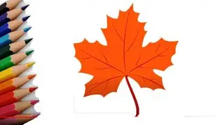How to draw a beautiful maple leaf