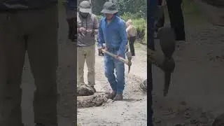 Edificando el camino para llegar al Templo de Oración Para Las Naciones 