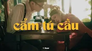 Cẩm Tú Cầu (Speed Up - 1 Hour) - Rayo x Huỳnh Văn x Quanvrox「Lofi Ver.」/ Official Lyrics Video